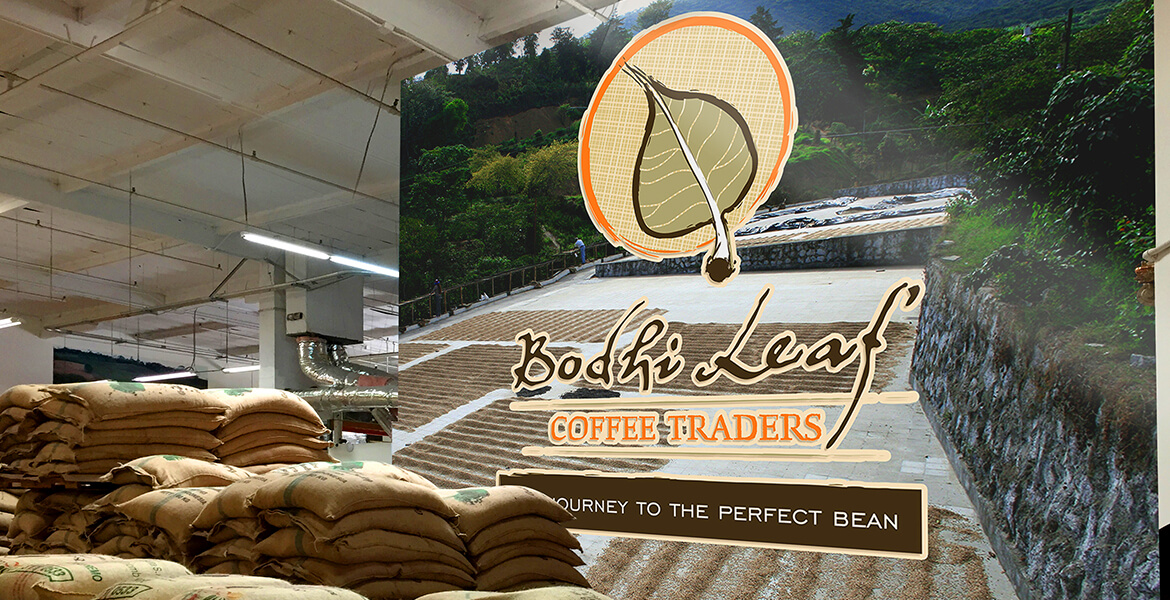 LARGE WALL GRAPHICS FOR BODHI COFFEE TRADERS