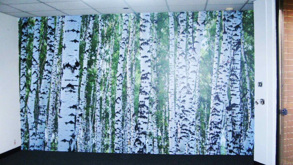 White, black and green wall graphic of Birch Trees
