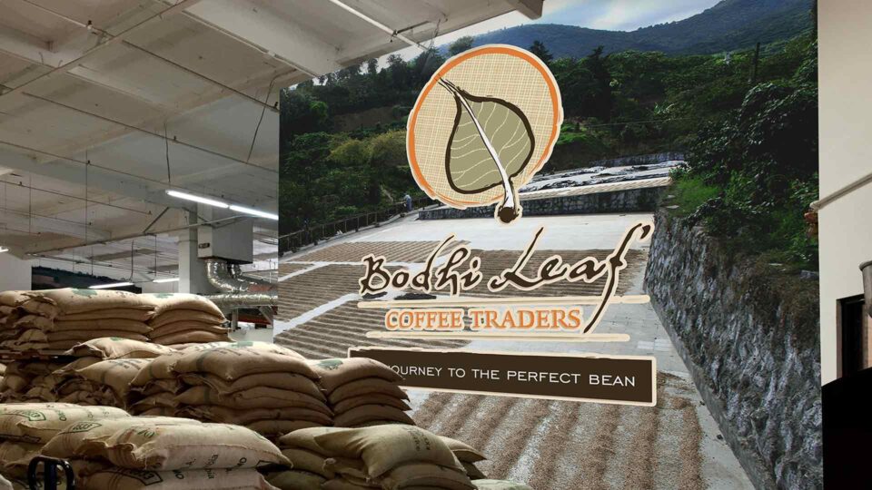 Wall graphic with coffee in South America and Bodhi Coffee logo