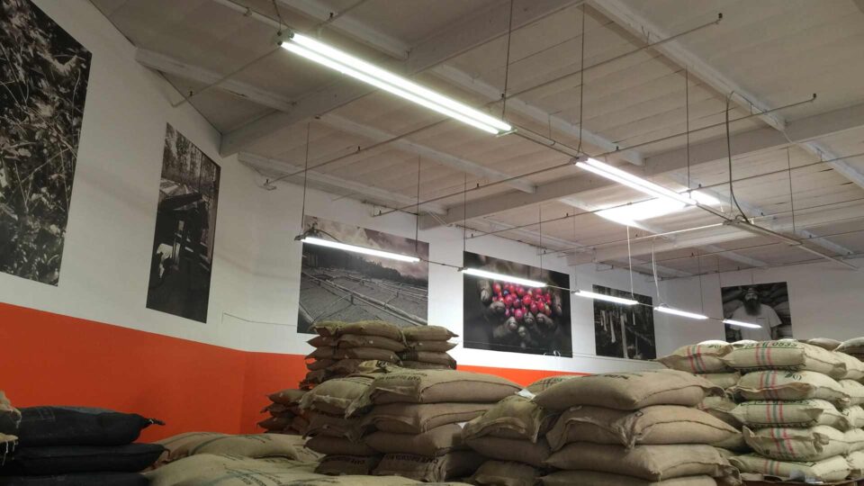 multiple black and white wall graphics of coffee growing process for Bodhi Coffeee
