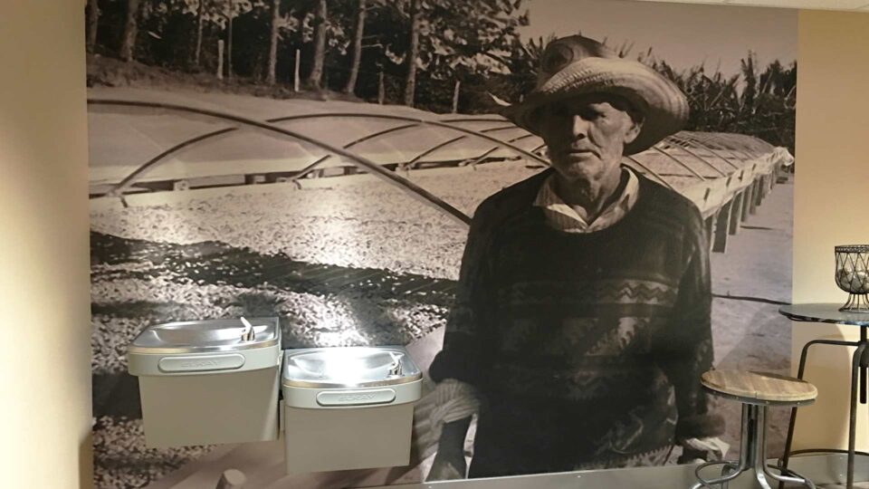 Black and white wall decal of coffee grower in the field