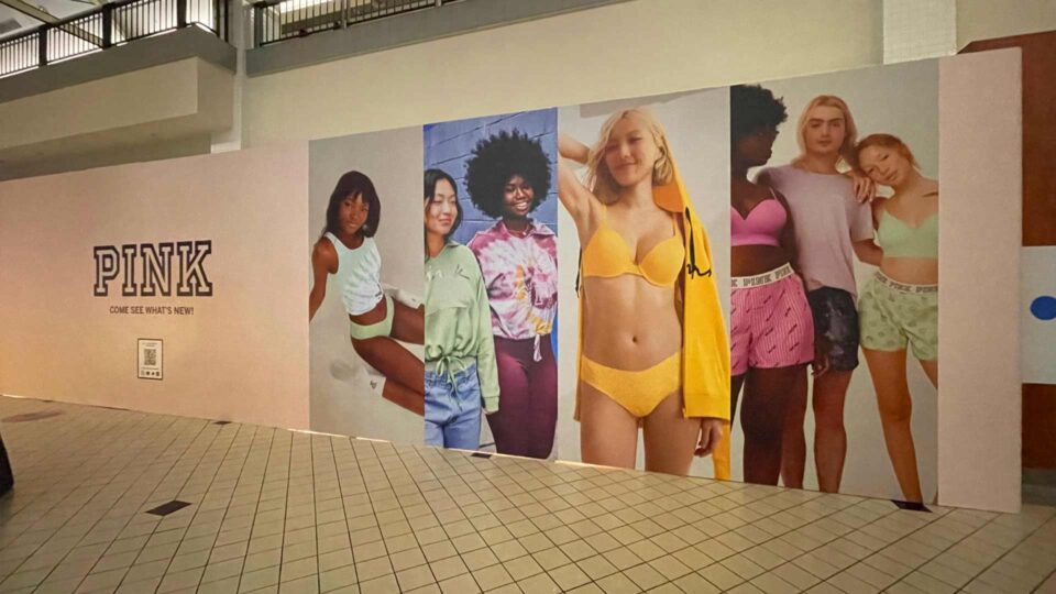 Pink Brand barricade graphics featuring models in Pink clothing and underwear