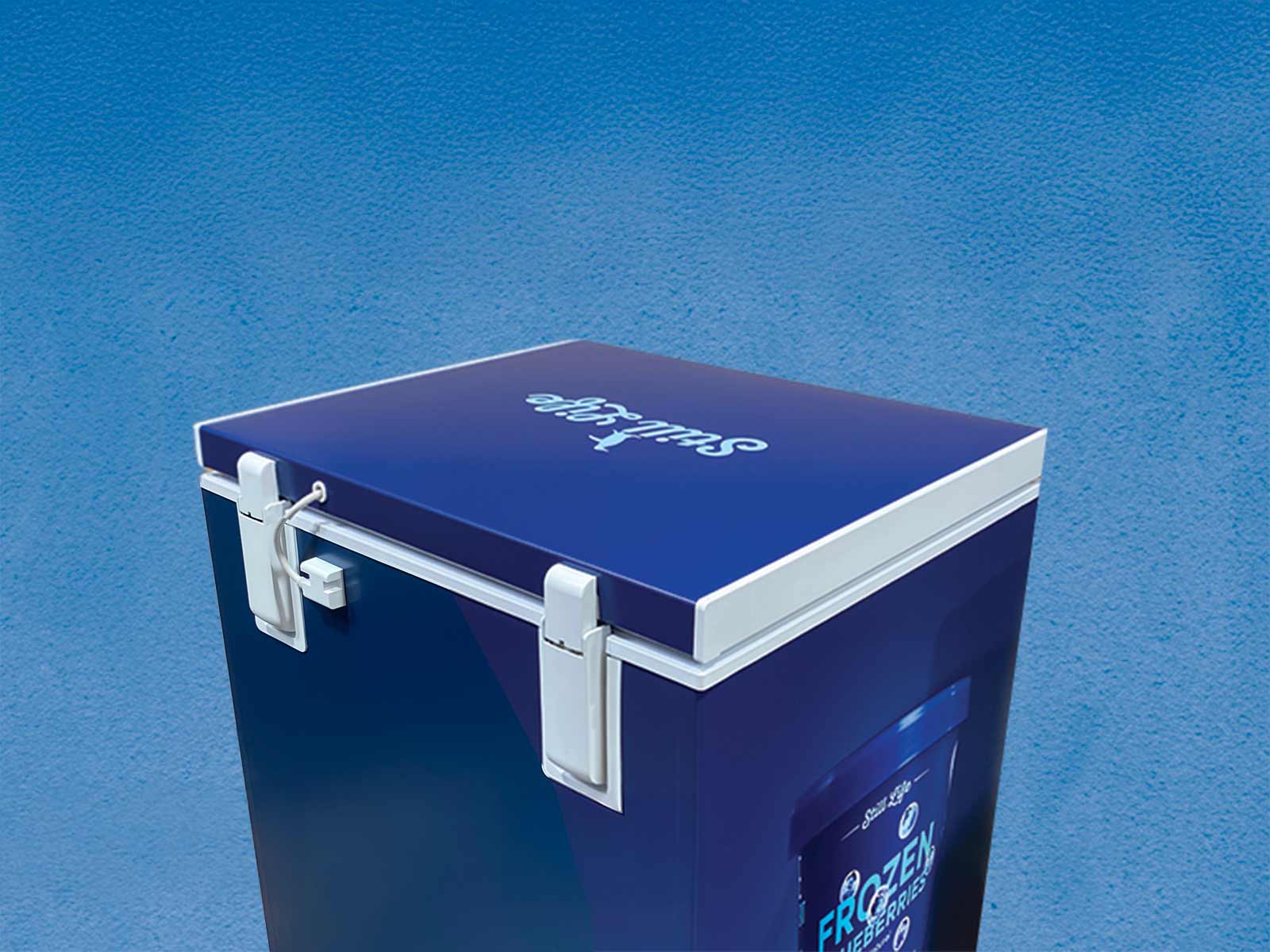 Vinyl Refrigerator Wrap