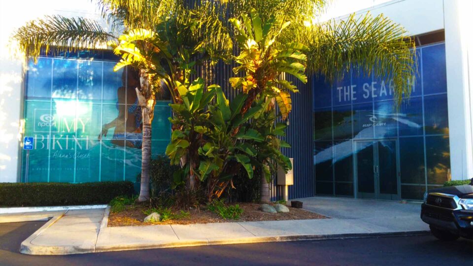 2 large windows with girl in bikini in ocean and beach and waves with Rip Curl logos