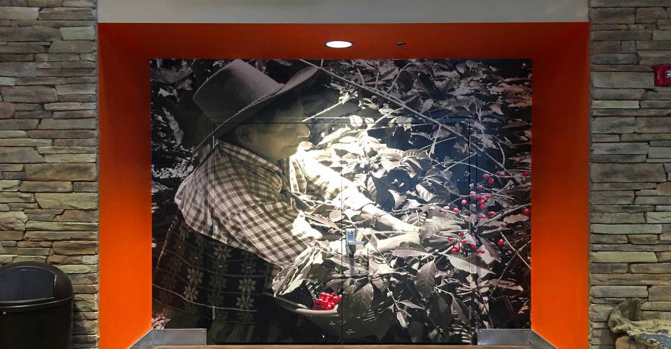 Interior retail wall graphic showing man harvesting coffee beans