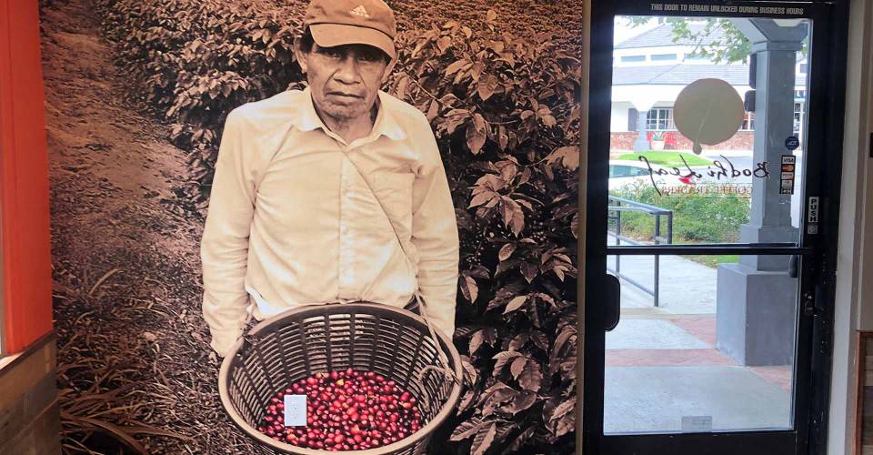 Interior entrance wall graphic showing coffee bean worker