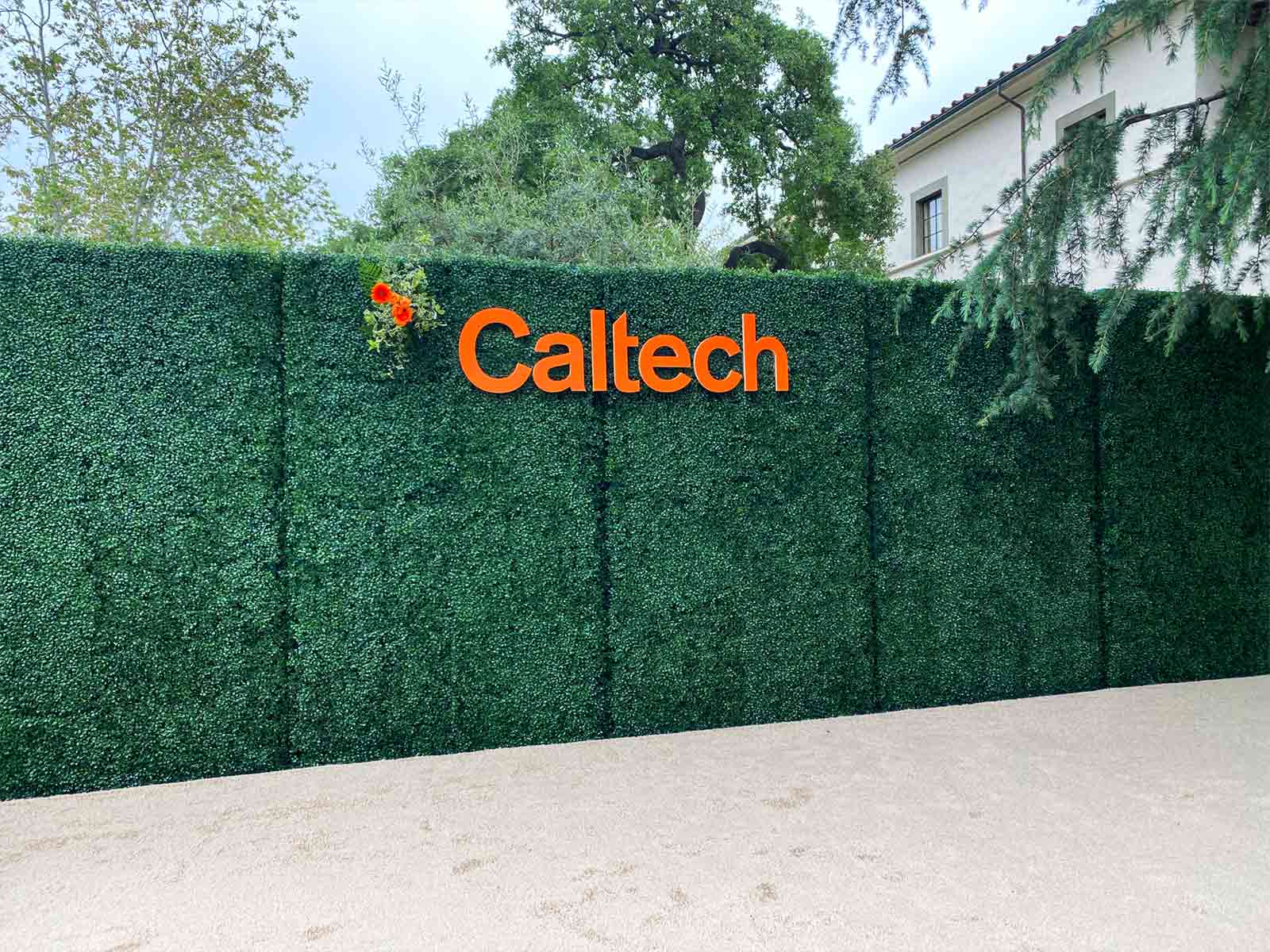 cutout letter sign