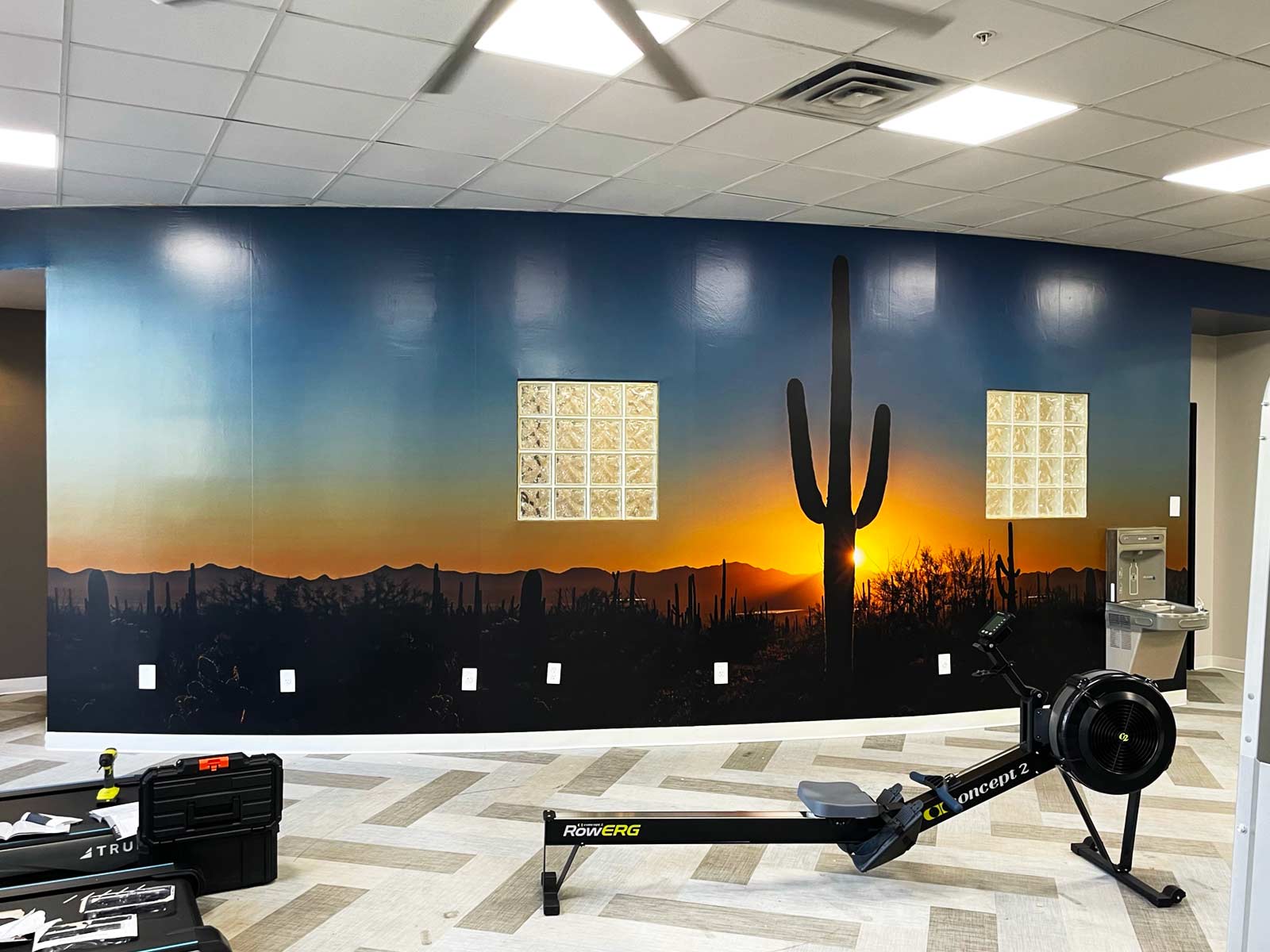 Custom Walls and Window Graphics For Roosevelt Square, Phoenix, AZ 2 interior wall vinyl