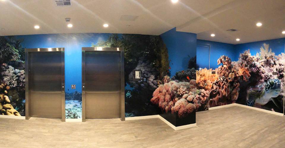 Elevator lobby with wall graphics depicting the ocean floor