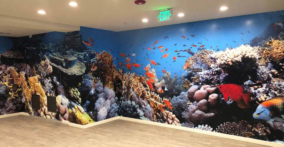 Wall graphic showing fish swimming in the water