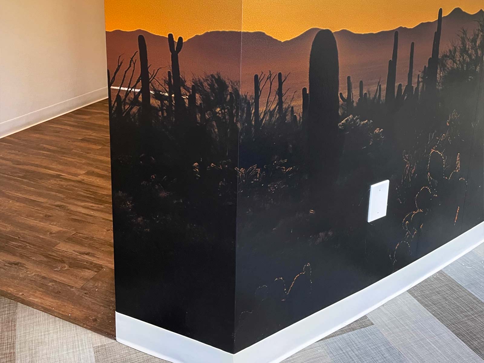 Custom Walls and Window Graphics For Roosevelt Square, Phoenix, AZ 4 professional vinyl installations